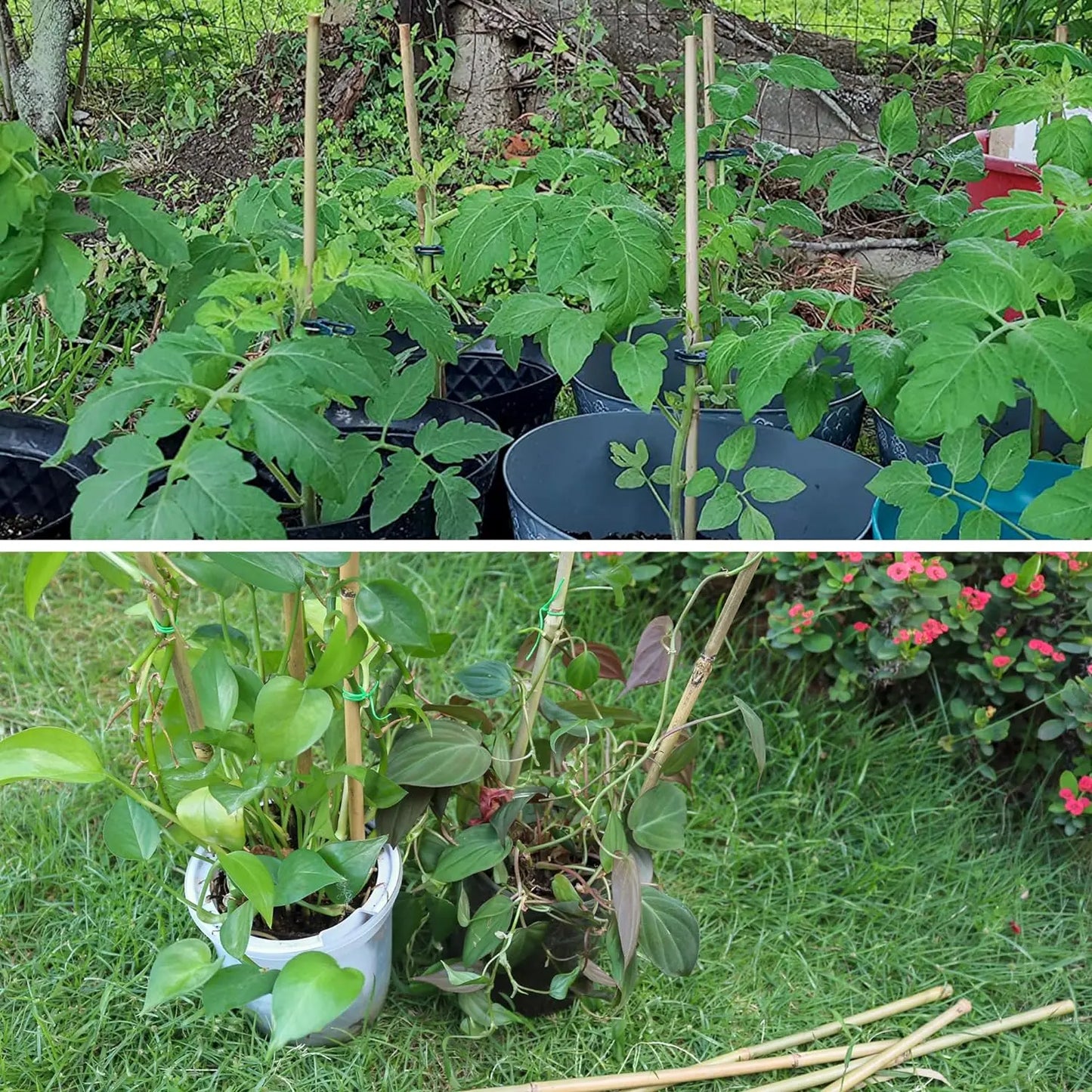 50Pcs / 18 inch Bamboo Plant Stakes for Indoor Outdoor Plants, Garden Plant Support Sticks