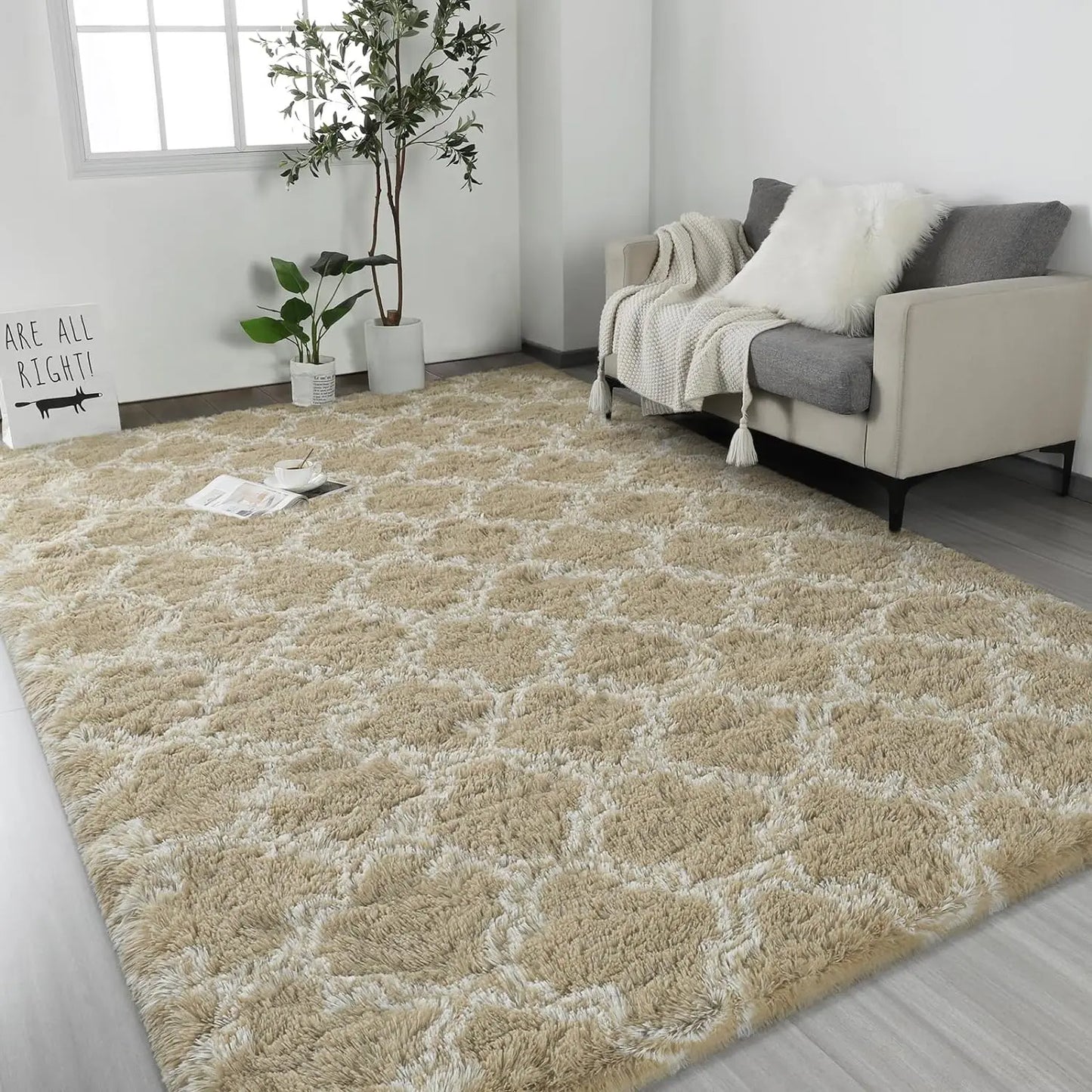 Large Non Slip Area Rugs