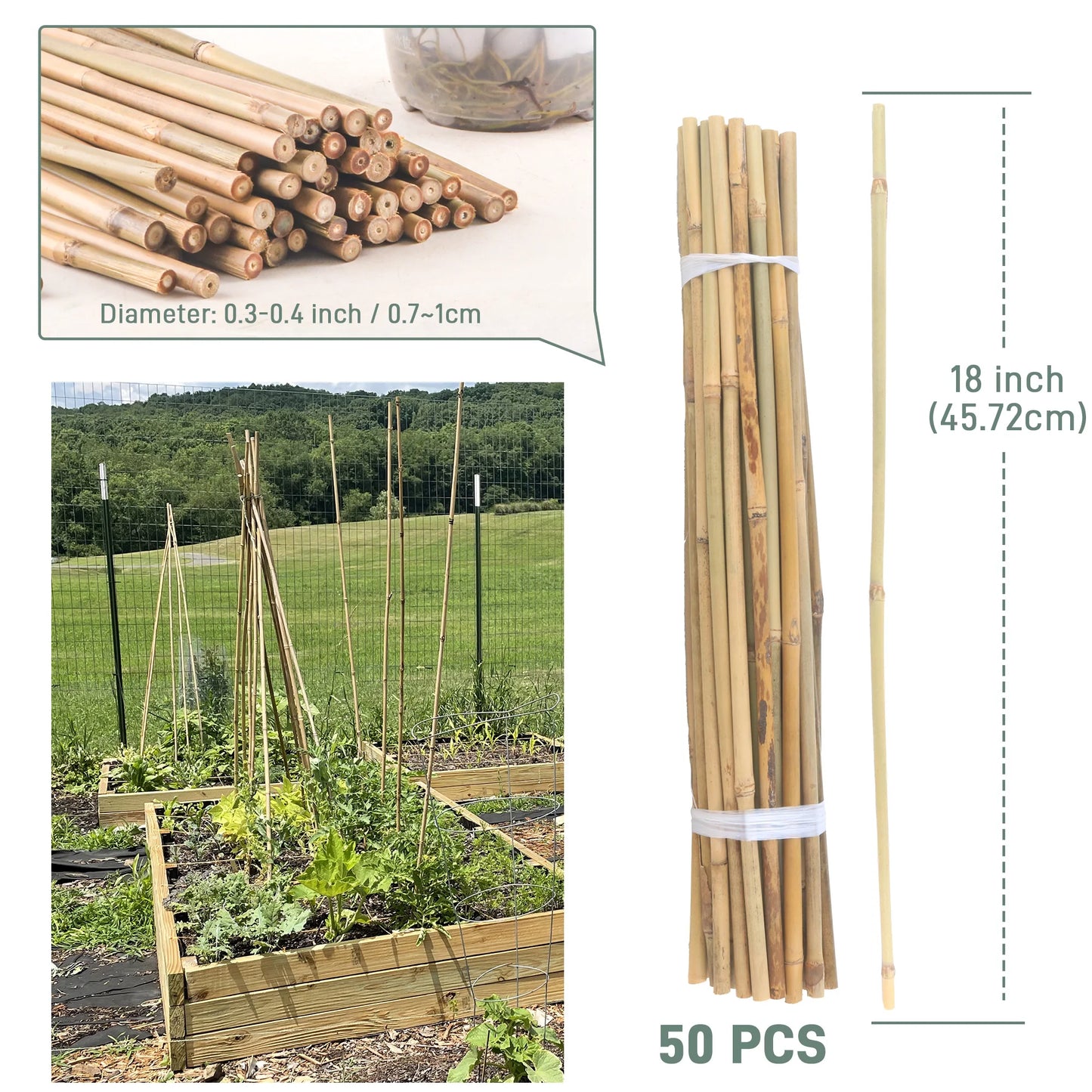 50Pcs / 18 inch Bamboo Plant Stakes for Indoor Outdoor Plants, Garden Plant Support Sticks