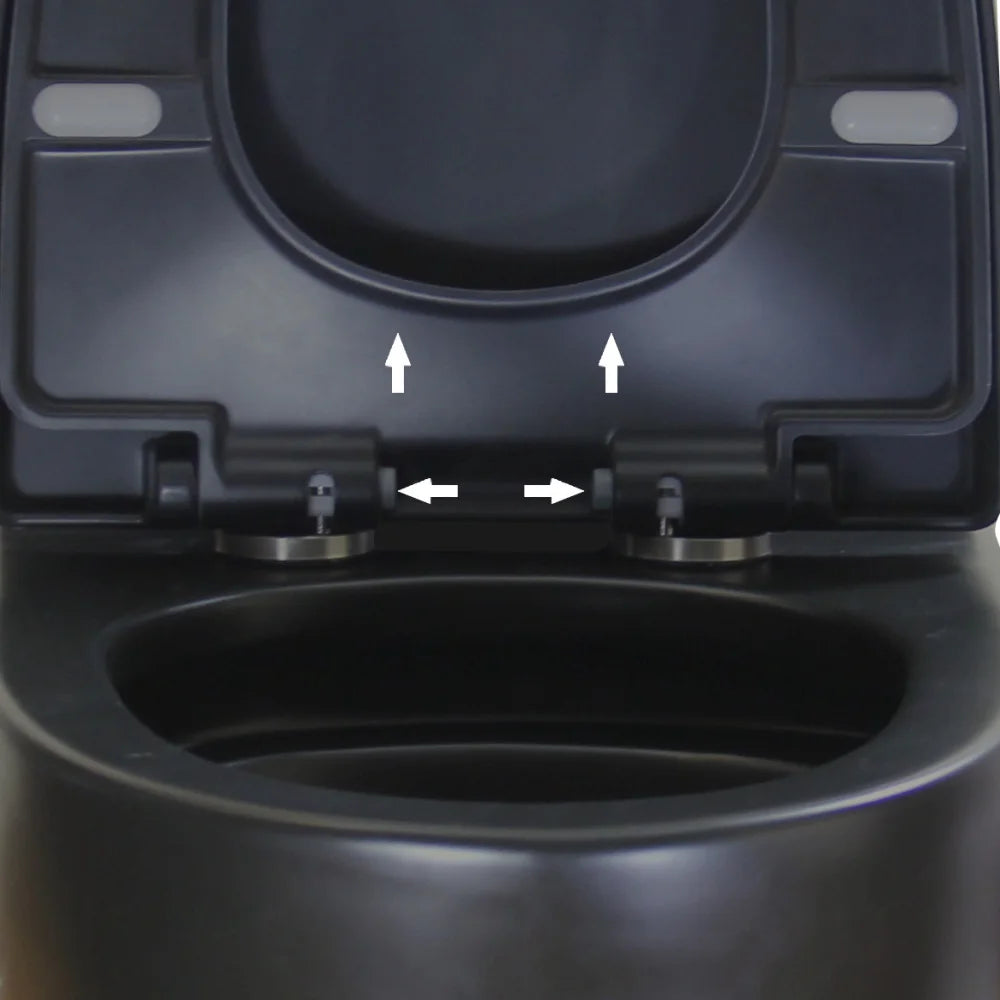 Matte Black Elongated One Piece Toilet Dual Flush 1.1/1.6 GPF Water Saving Map 1000g,Matte Black