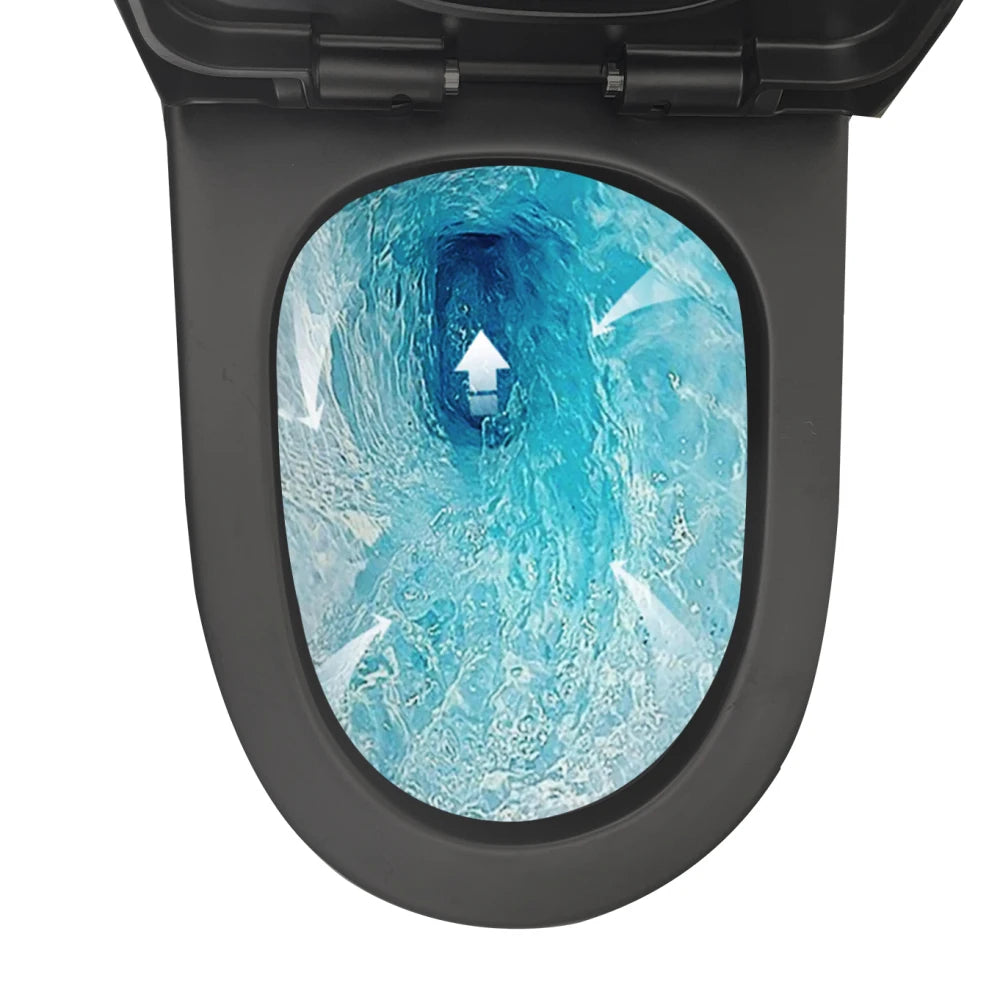 Matte Black Elongated One Piece Toilet Dual Flush 1.1/1.6 GPF Water Saving Map 1000g,Matte Black