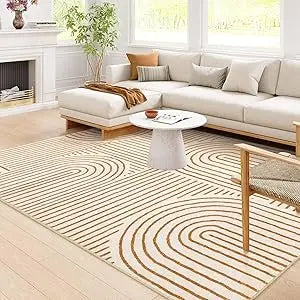 Modern Abstract 8x10 Area Rugs