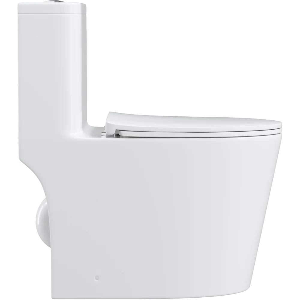 One piece Toilet with high quality Accessories