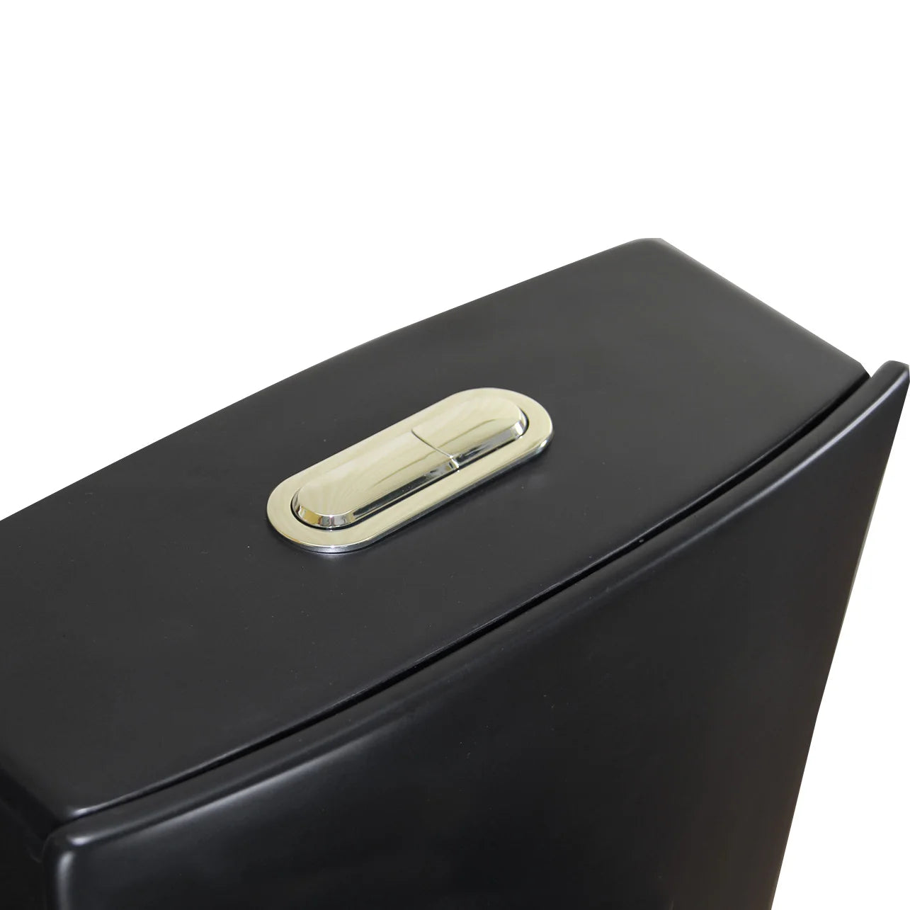 Matte Black Elongated One Piece Toilet Dual Flush 1.1/1.6 GPF Water Saving Map 1000g,Matte Black