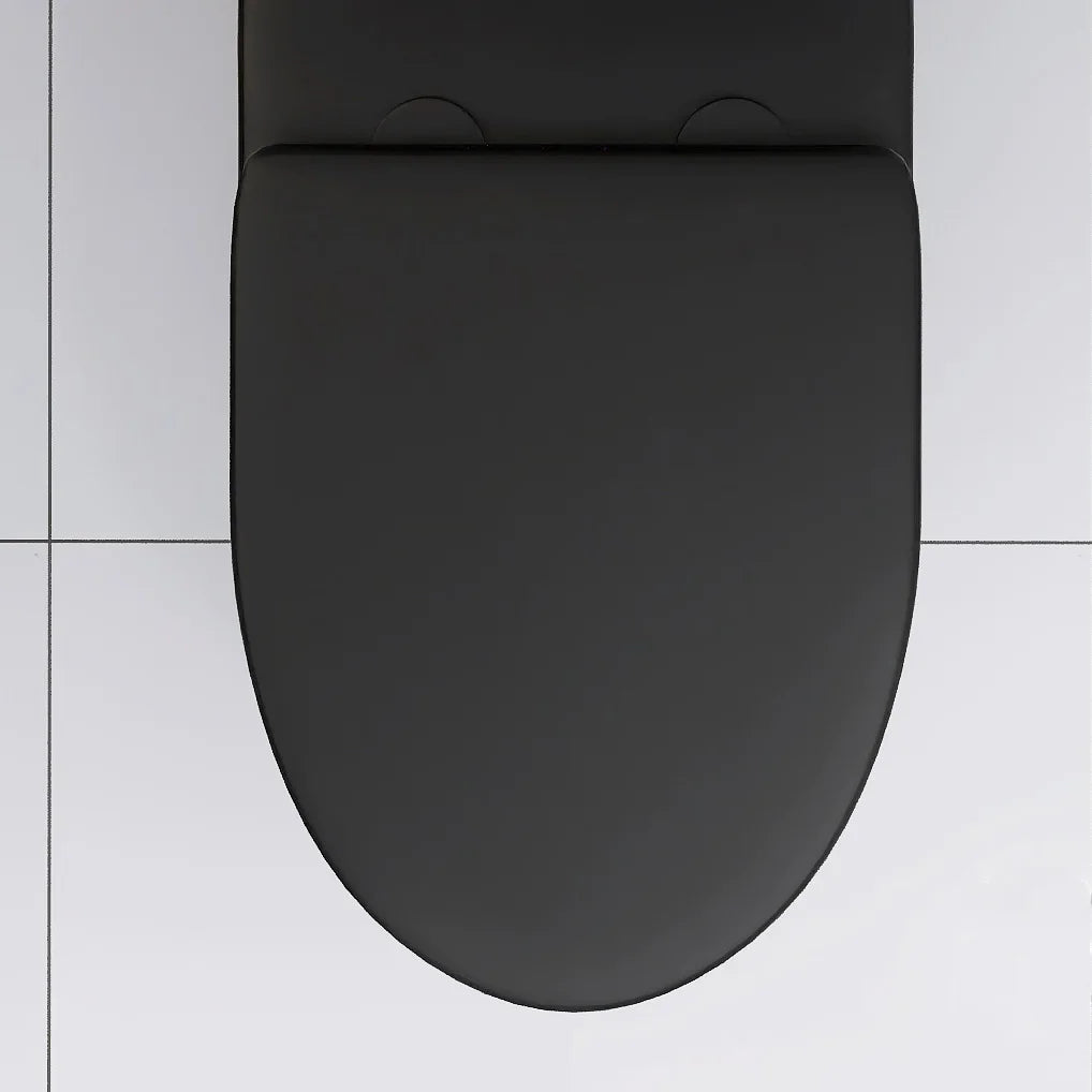 Matte Black Elongated One Piece Toilet Dual Flush 1.1/1.6 GPF Water Saving Map 1000g,Matte Black