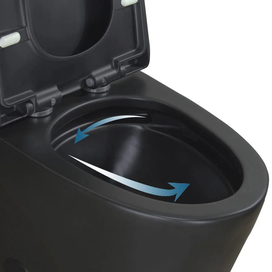 Matte Black Elongated One Piece Toilet Dual Flush 1.1/1.6 GPF Water Saving Map 1000g,Matte Black