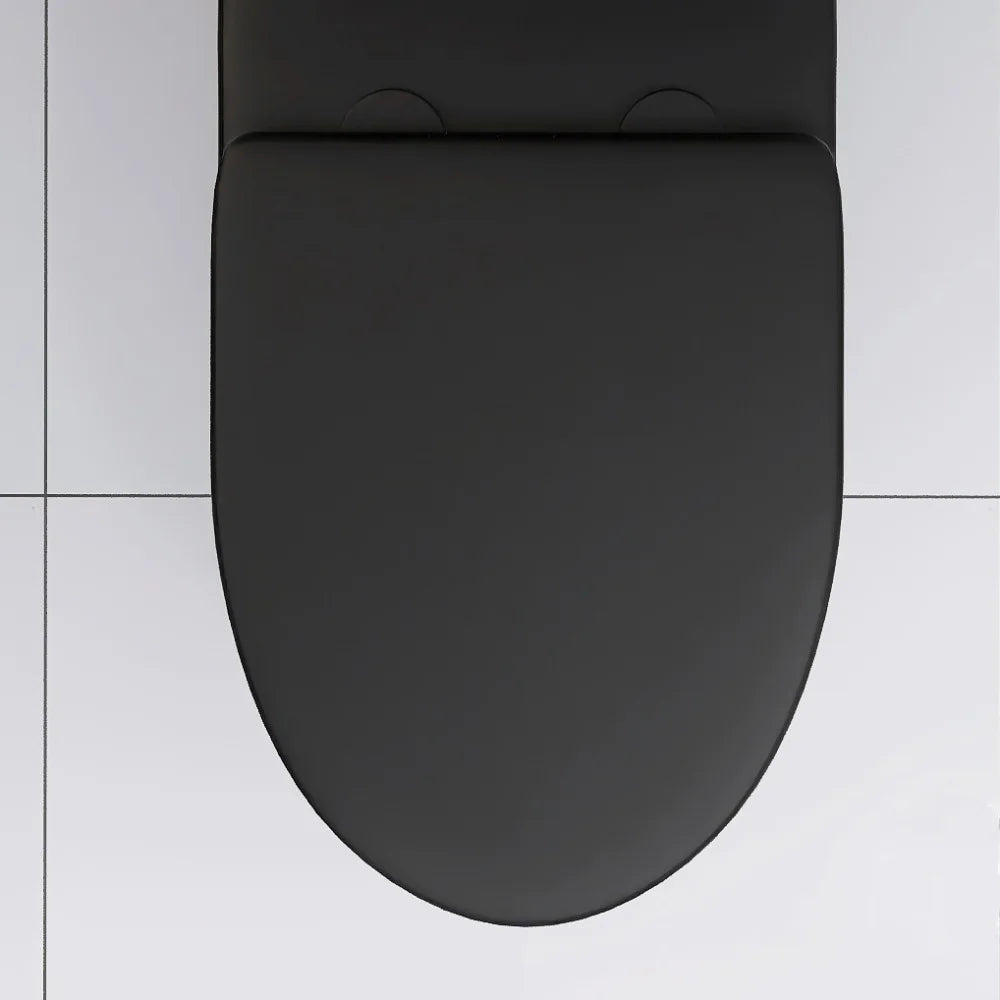 Matte Black Elongated One Piece Toilet Dual Flush 1.1/1.6 GPF Water Saving Map 1000g,Matte Black