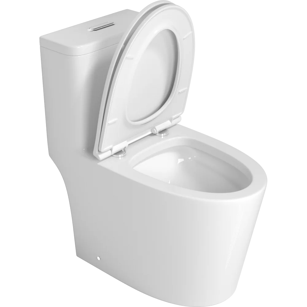 One piece Toilet with high quality Accessories