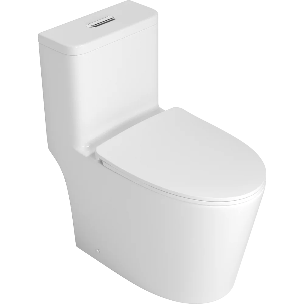 One piece Toilet with high quality Accessories