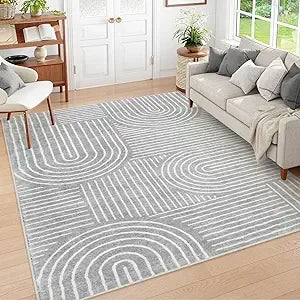 Modern Abstract 8x10 Area Rugs