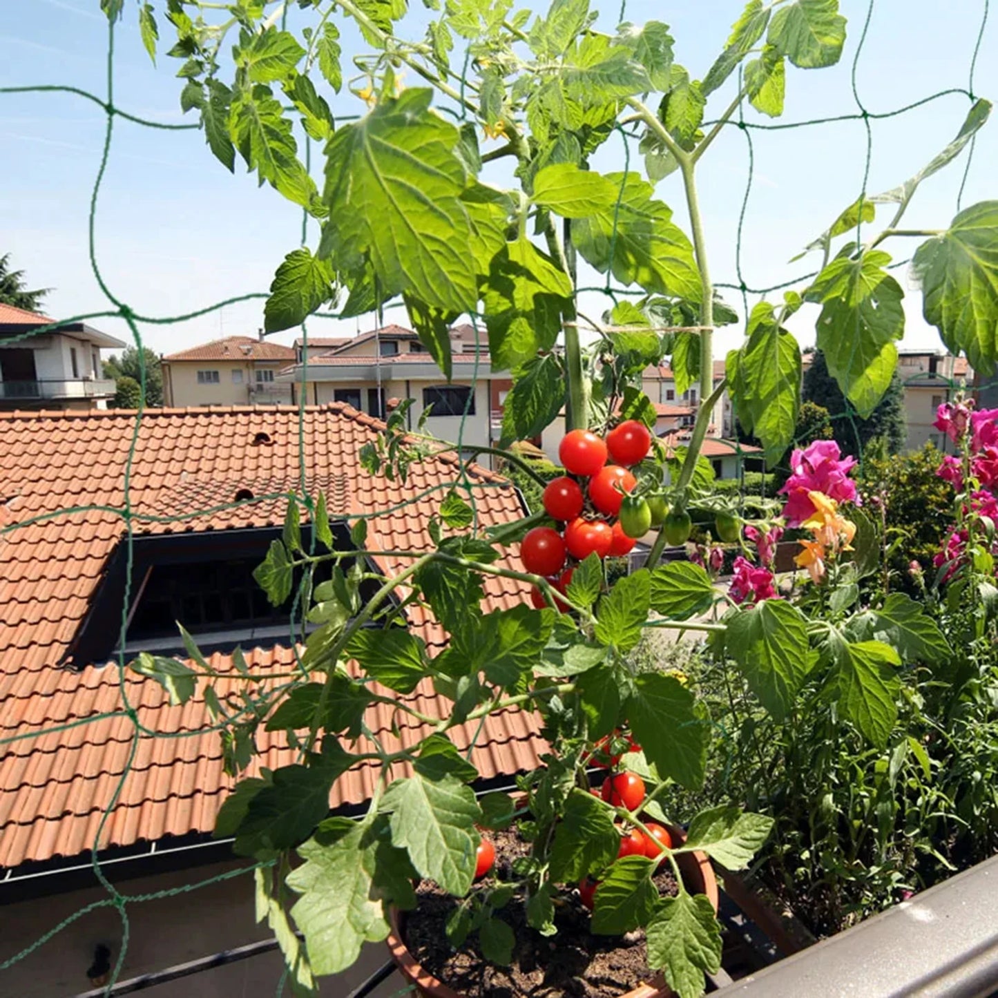 3-5m Garden Plants Trellis Cages Netting Garden Vine Growing Flexible supports Net for Climbing Plant Fruits Vegetables Vines