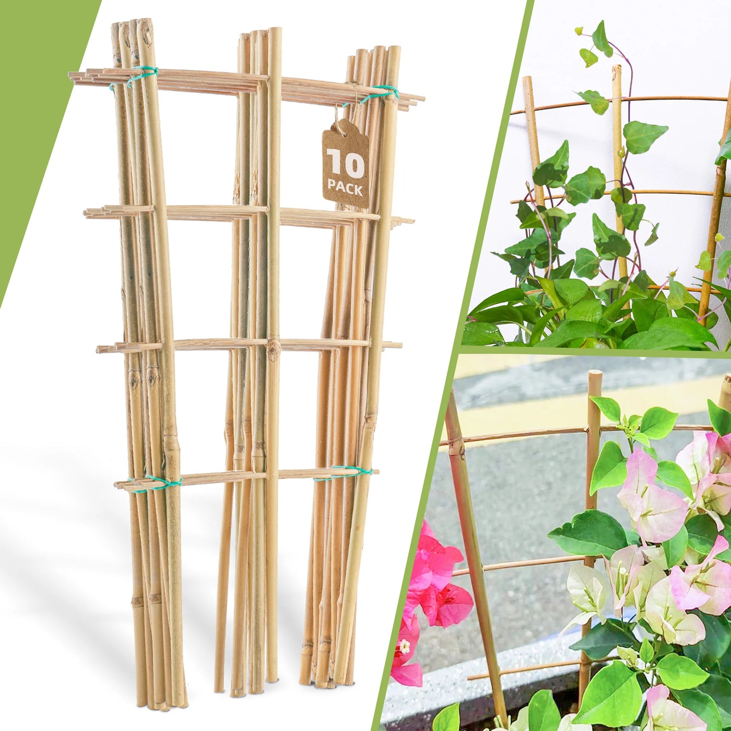 10 Pack Bamboo Trellis For Climbing Plants, 16 Inch Natural Garden Fan-shaped Plant Support Bracket, Suitable For Potted Plant