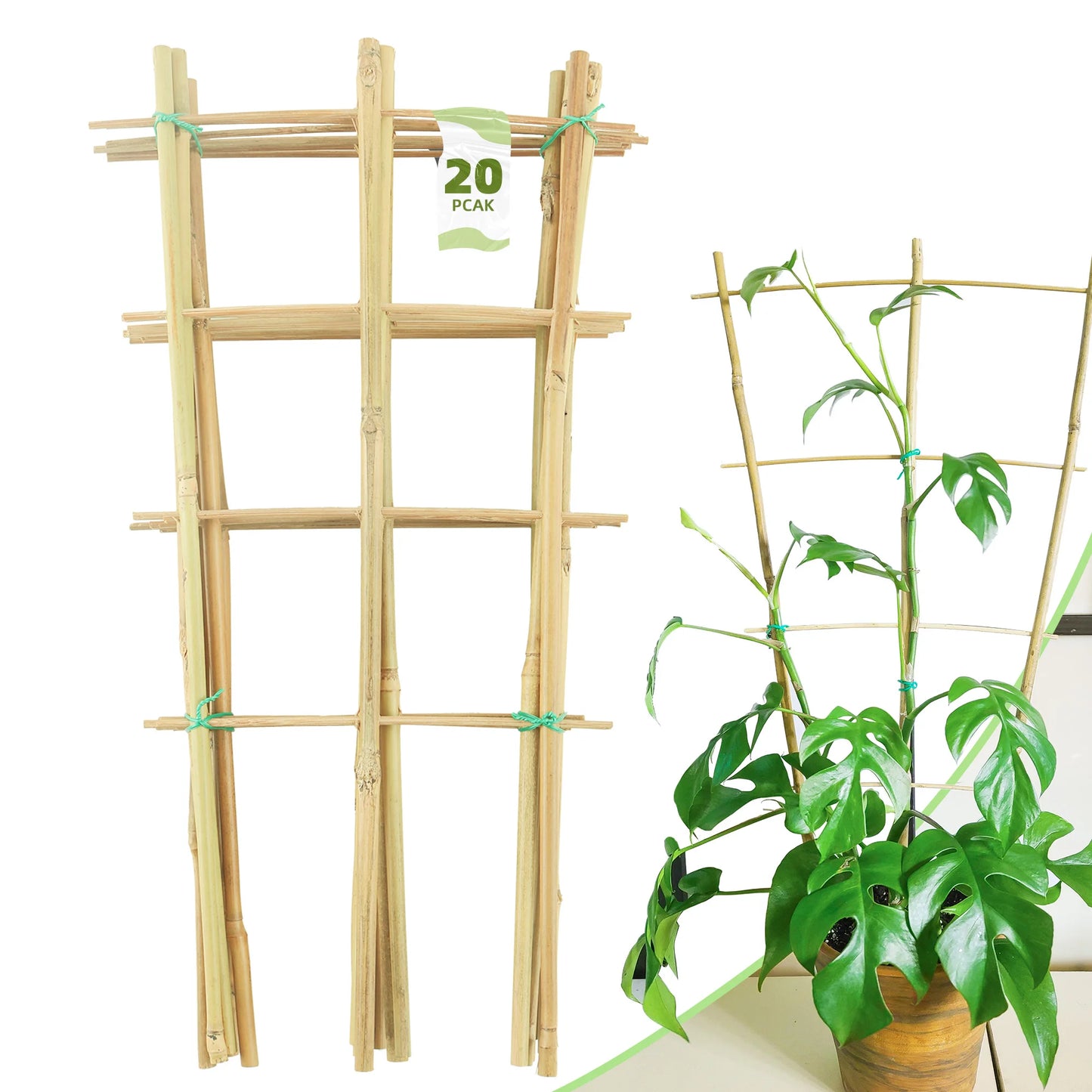 10 Pack Bamboo Trellis For Climbing Plants, 16 Inch Natural Garden Fan-shaped Plant Support Bracket, Suitable For Potted Plant