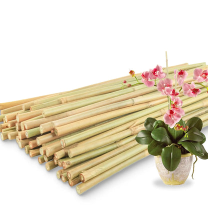 50Pcs / 18 inch Bamboo Plant Stakes for Indoor Outdoor Plants, Garden Plant Support Sticks