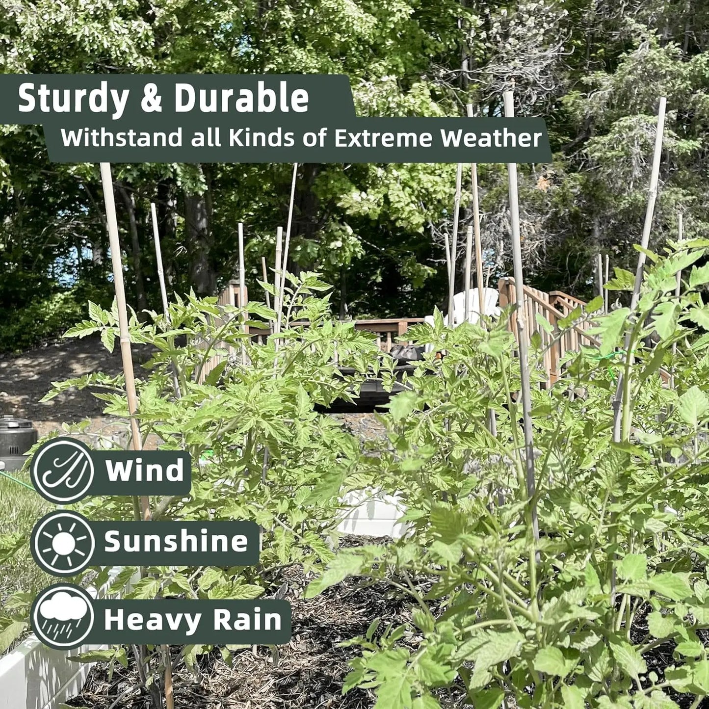 50Pcs / 18 inch Bamboo Plant Stakes for Indoor Outdoor Plants, Garden Plant Support Sticks