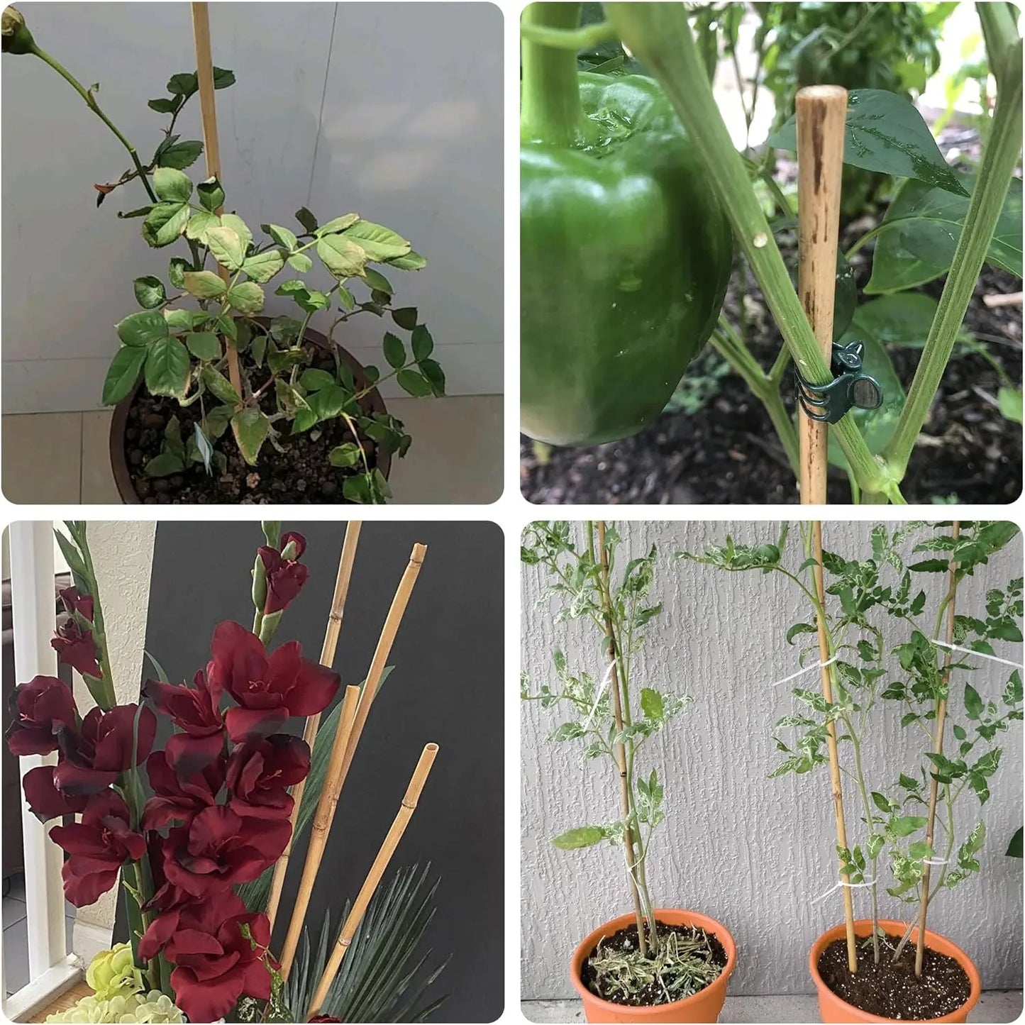 50Pcs / 18 inch Bamboo Plant Stakes for Indoor Outdoor Plants, Garden Plant Support Sticks