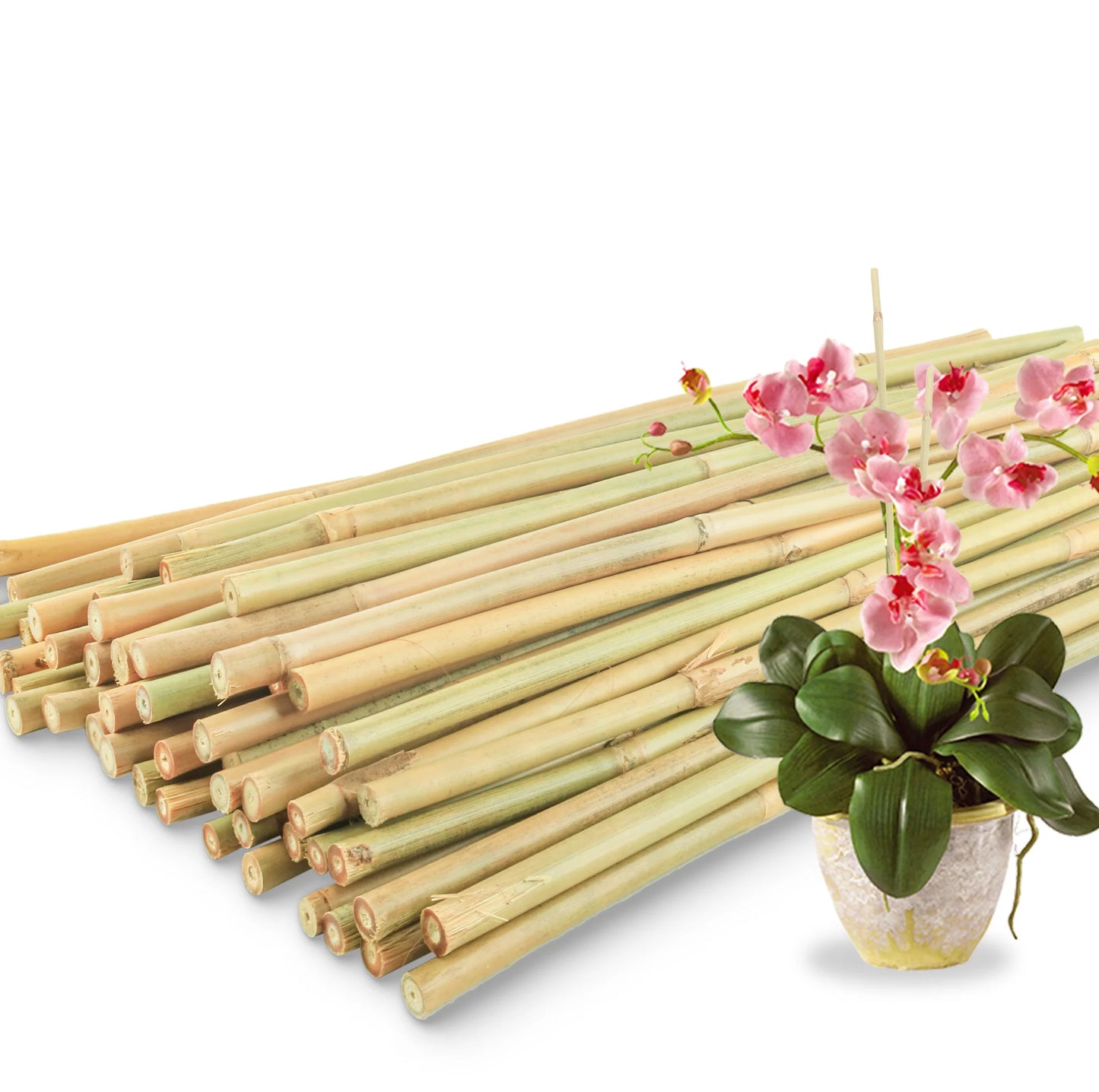 50Pcs / 18 inch Bamboo Plant Stakes for Indoor Outdoor Plants, Garden Plant Support Sticks