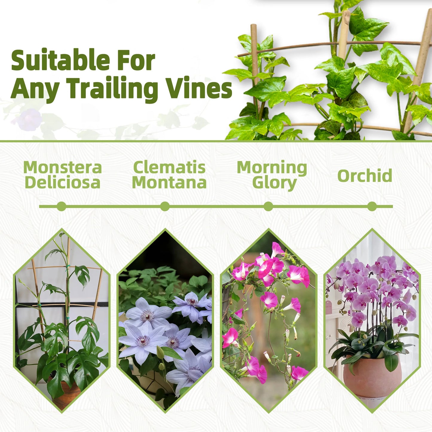 10 Pack Bamboo Trellis For Climbing Plants, 16 Inch Natural Garden Fan-shaped Plant Support Bracket, Suitable For Potted Plant