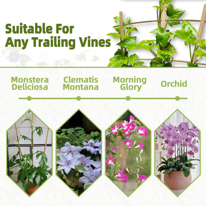 10 Pack Bamboo Trellis For Climbing Plants, 16 Inch Natural Garden Fan-shaped Plant Support Bracket, Suitable For Potted Plant