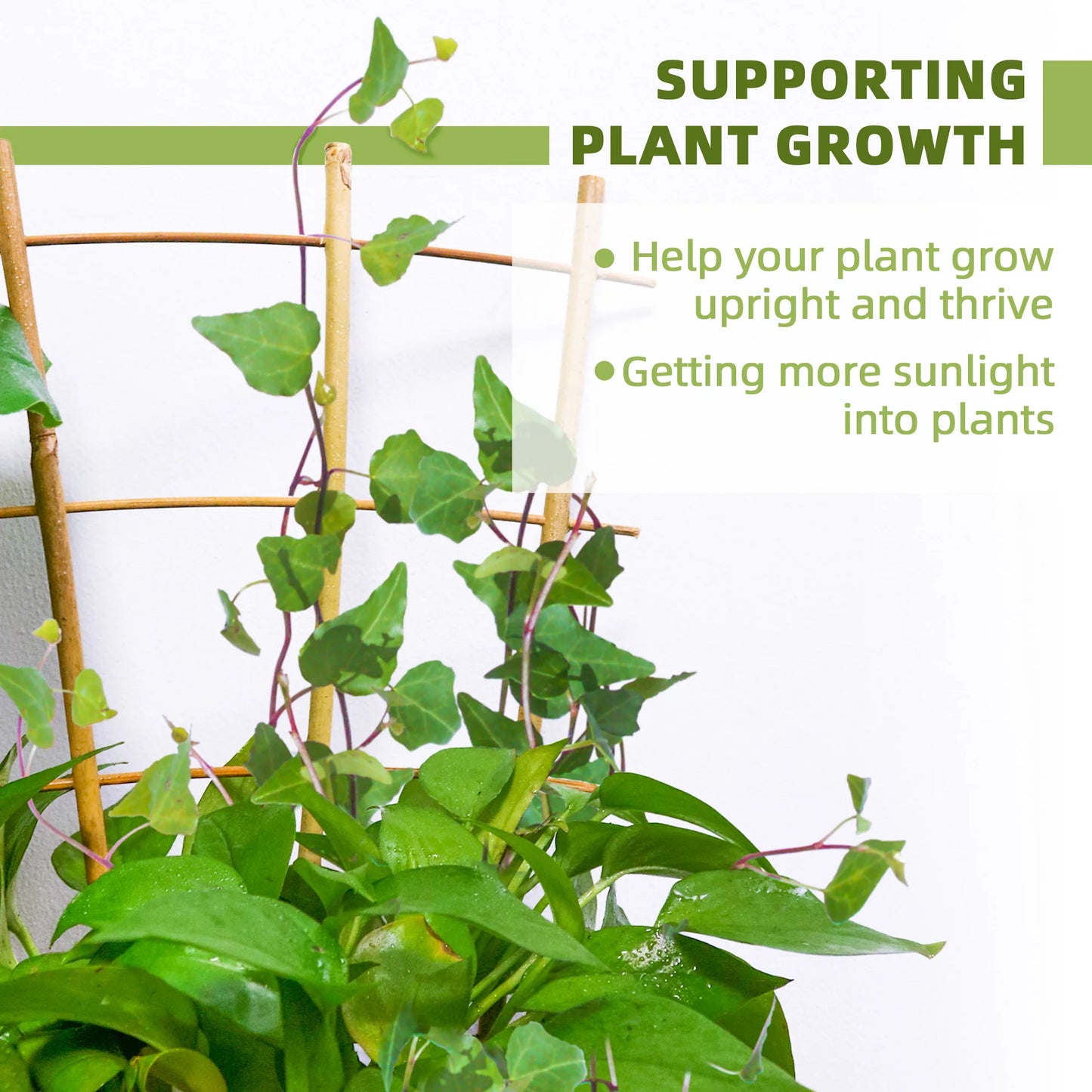 10 Pack Bamboo Trellis For Climbing Plants, 16 Inch Natural Garden Fan-shaped Plant Support Bracket, Suitable For Potted Plant