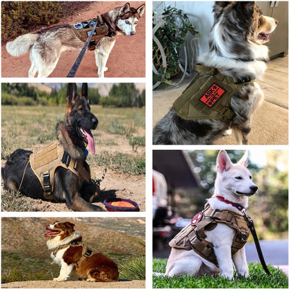 Military Large Dog Harness Collar Leash Bags Patches Set Pet  Training Vests Tactical Dogs Harnesses Accessories