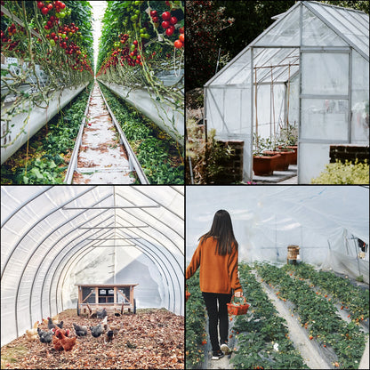 Agricultural Greenhouse Film Clear Plastic Farm Crops Vegetable Cover UV Resistant Polyethylene Covering Plants Flowers