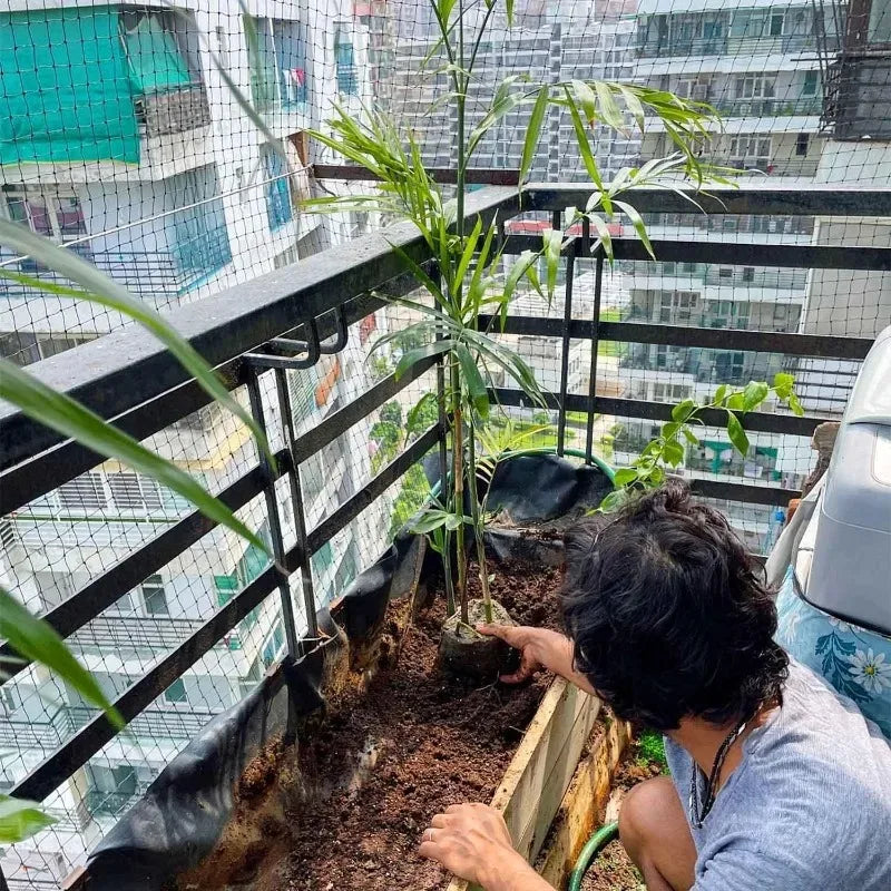 Bird Net 5 x 15 m Bird Net Hunting Nets Bird Nets Nylon Mesh for Protection of Orchards Vegetables Gardens Chicken Coops (Black)