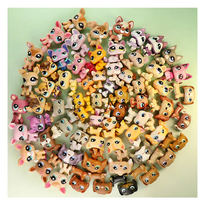 Pet Shop Dachshund Short Hair Cat Collie Deer ... More Different Choice Cat/Dog Puppy Kids Gift Set