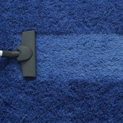 Indoor Plush Soft Carpet