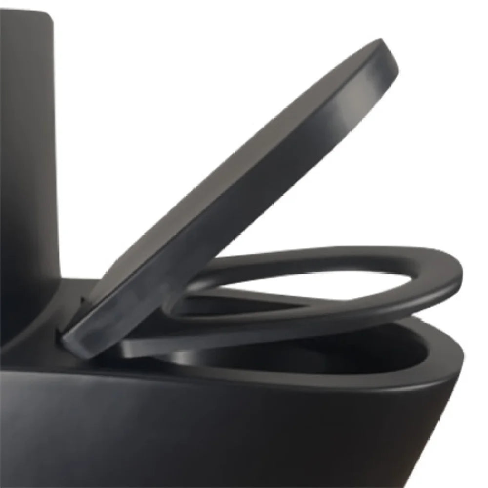 Matte Black Elongated One Piece Toilet Dual Flush 1.1/1.6 GPF Water Saving Map 1000g,Matte Black