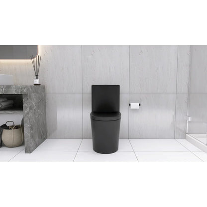 Matte Black Elongated One Piece Toilet Dual Flush 1.1/1.6 GPF Water Saving Map 1000g,Matte Black