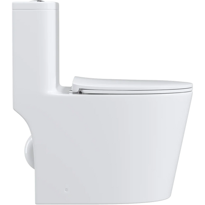 One piece Toilet with high quality Accessories