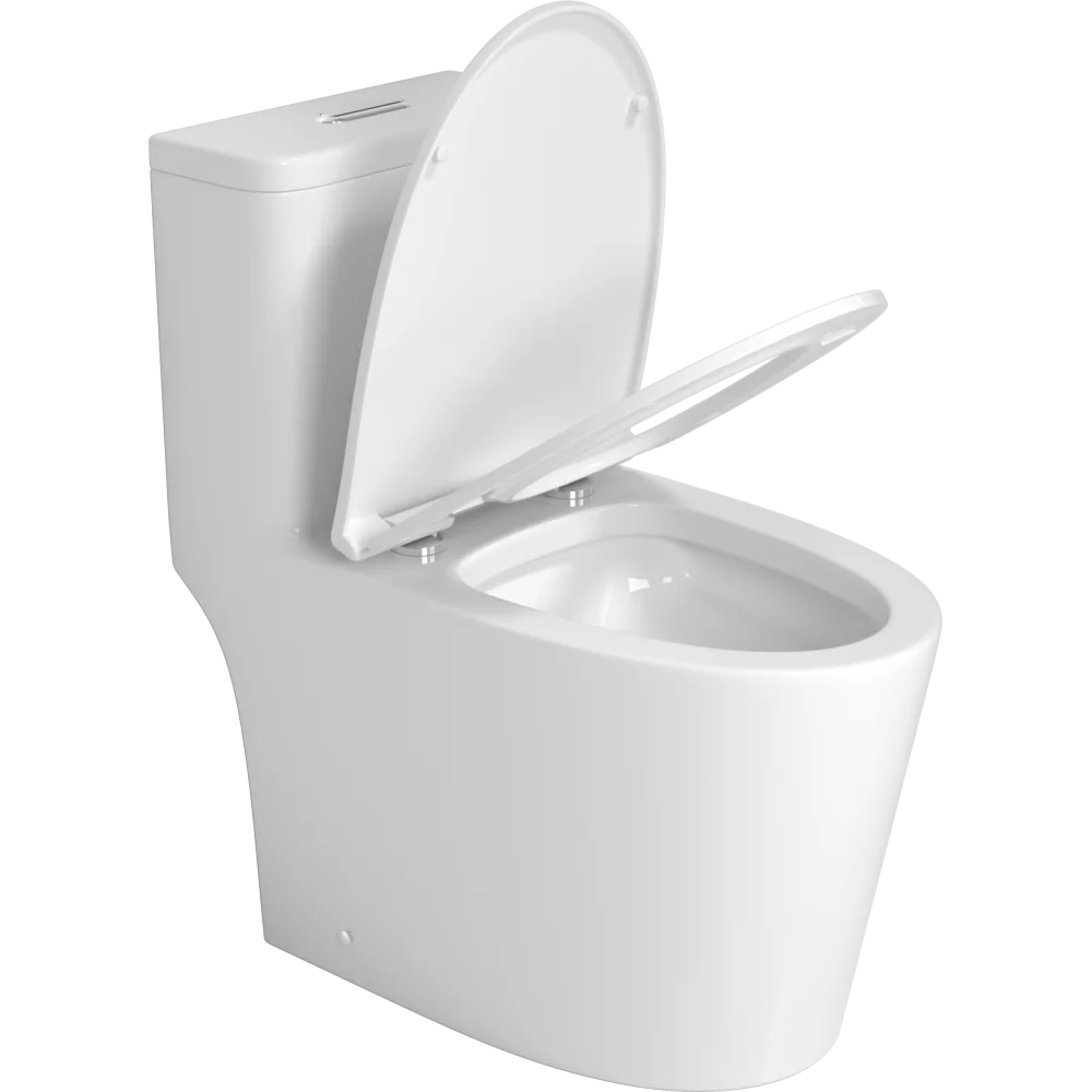 One piece Toilet with high quality Accessories