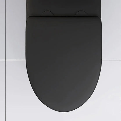 Matte Black Elongated One Piece Toilet Dual Flush 1.1/1.6 GPF Water Saving Map 1000g,Matte Black