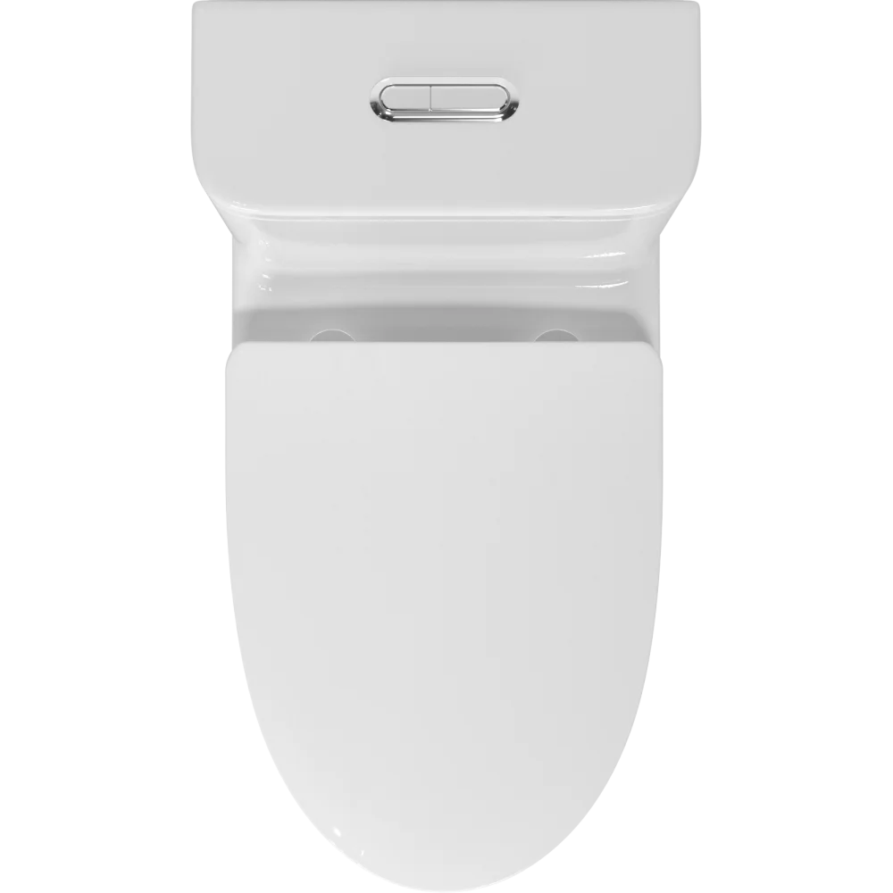 One piece Toilet with high quality Accessories