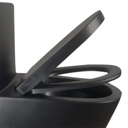 Matte Black Elongated One Piece Toilet Dual Flush 1.1/1.6 GPF Water Saving Map 1000g,Matte Black