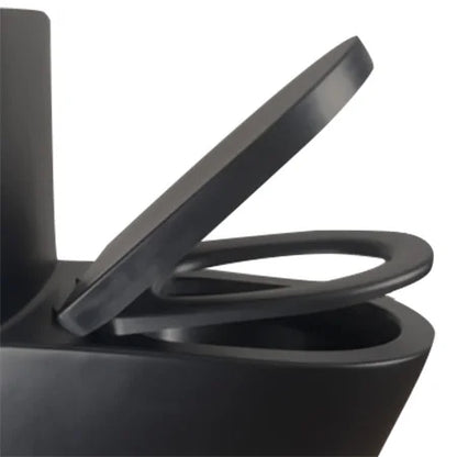 Matte Black Elongated One Piece Toilet Dual Flush 1.1/1.6 GPF Water Saving Map 1000g,Matte Black