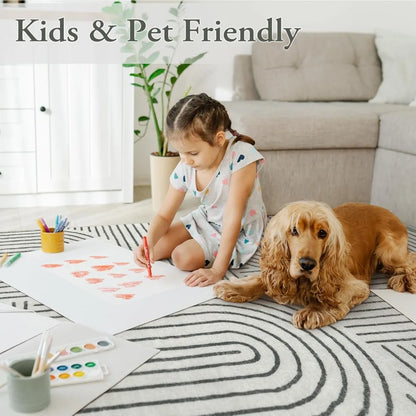 Modern Abstract 8x10 Area Rugs