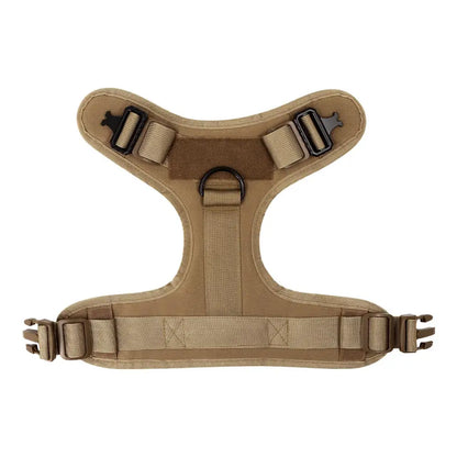 Large Dog Harness And Leash Set