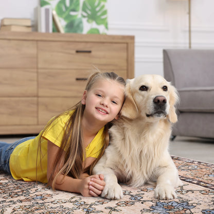 Vintage Area Rugs Low Pile Machine Washable