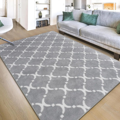 Large Shag Area Rug