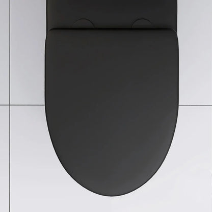 Matte Black Elongated One Piece Toilet Dual Flush 1.1/1.6 GPF Water Saving Map 1000g,Matte Black