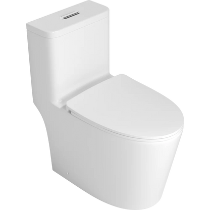 One piece Toilet with high quality Accessories