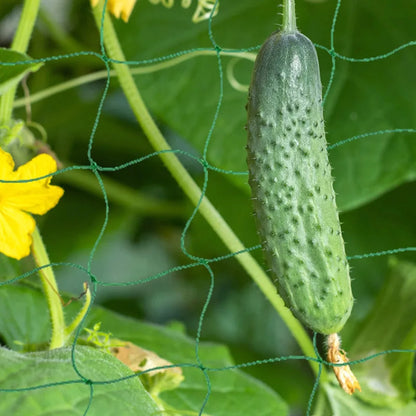 3-5m Garden Plants Trellis Cages Netting Garden Vine Growing Flexible supports Net for Climbing Plant Fruits Vegetables Vines