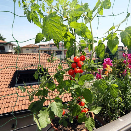 3-5m Garden Plants Trellis Cages Netting Garden Vine Growing Flexible supports Net for Climbing Plant Fruits Vegetables Vines