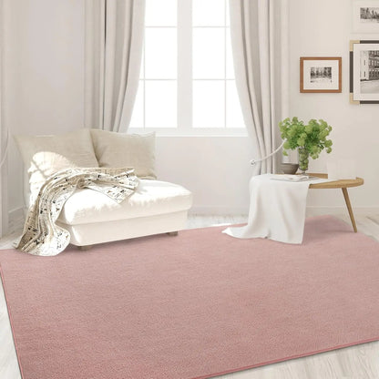 Living Room ,Bedroom Carpet Nonslip Large Soft