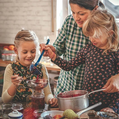 Food grade stainless steel canning funnels with filters, wide mouth funnels for kitchens, wide POTS and regular cans