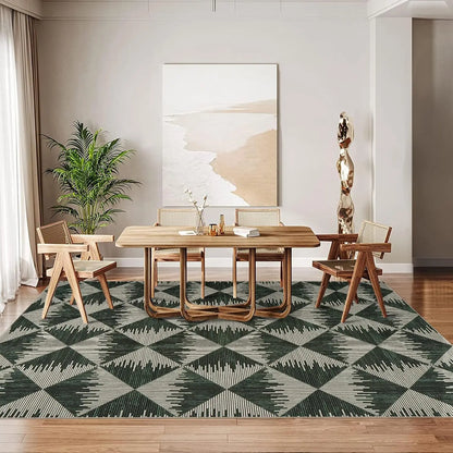 Area Rugs Modern  Living Room