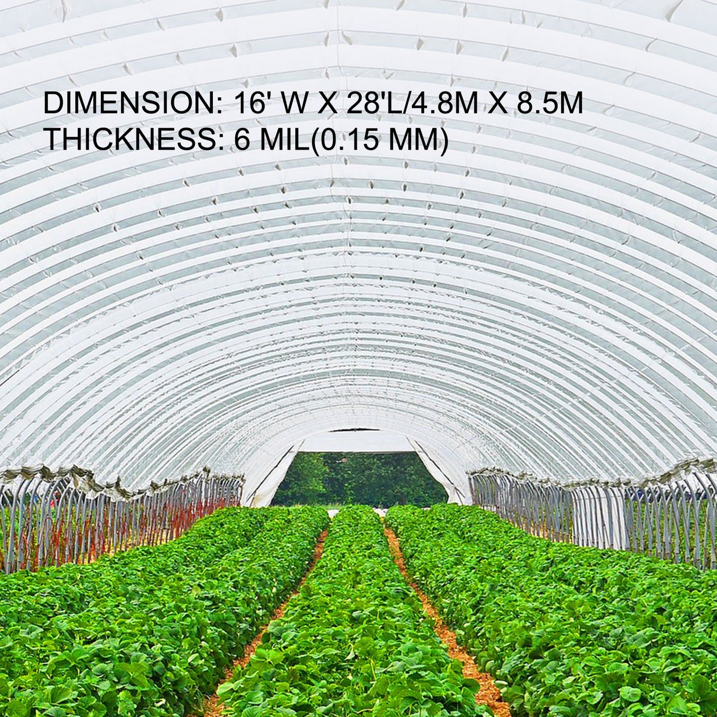Agricultural Greenhouse Film Clear Plastic Farm Crops Vegetable Cover UV Resistant Polyethylene Covering Plants Flowers