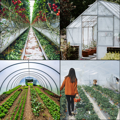 Agricultural Greenhouse Film Clear Plastic Farm Crops Vegetable Cover UV Resistant Polyethylene Covering Plants Flowers